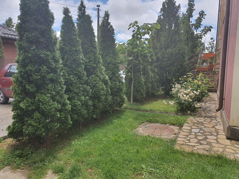 Buftea, 2 parcari, parter, gradina